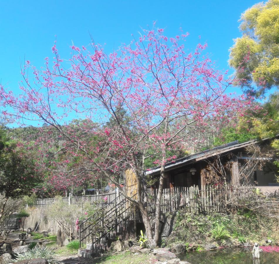Bright Moon Homestay Dongshi  Exteriör bild