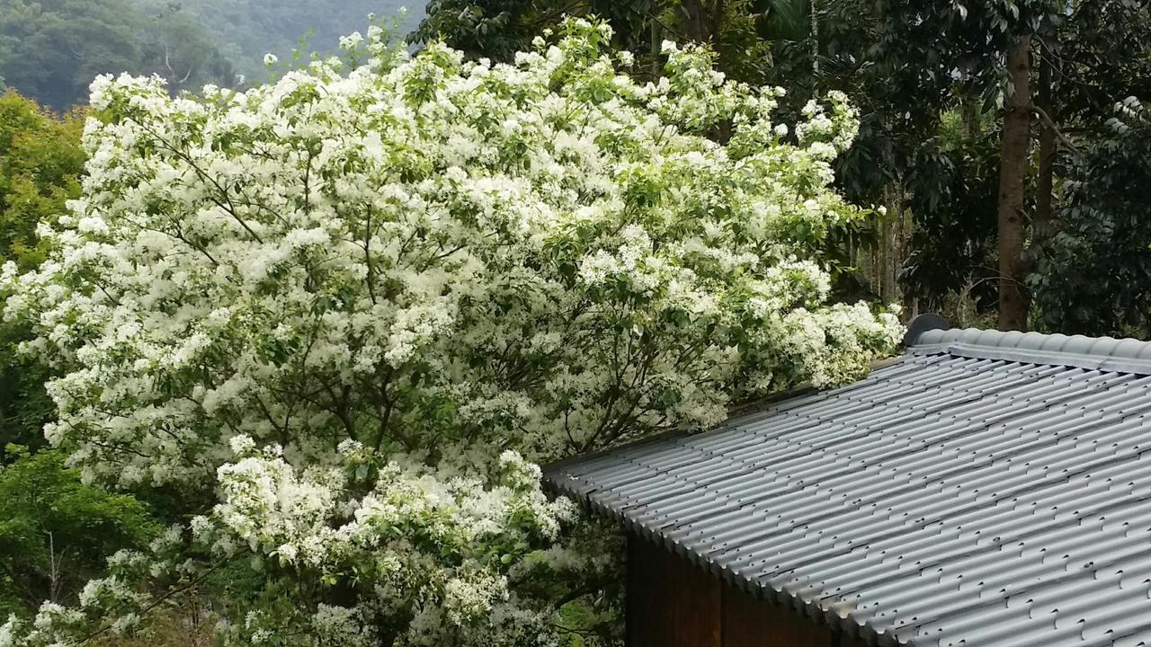 Bright Moon Homestay Dongshi  Exteriör bild