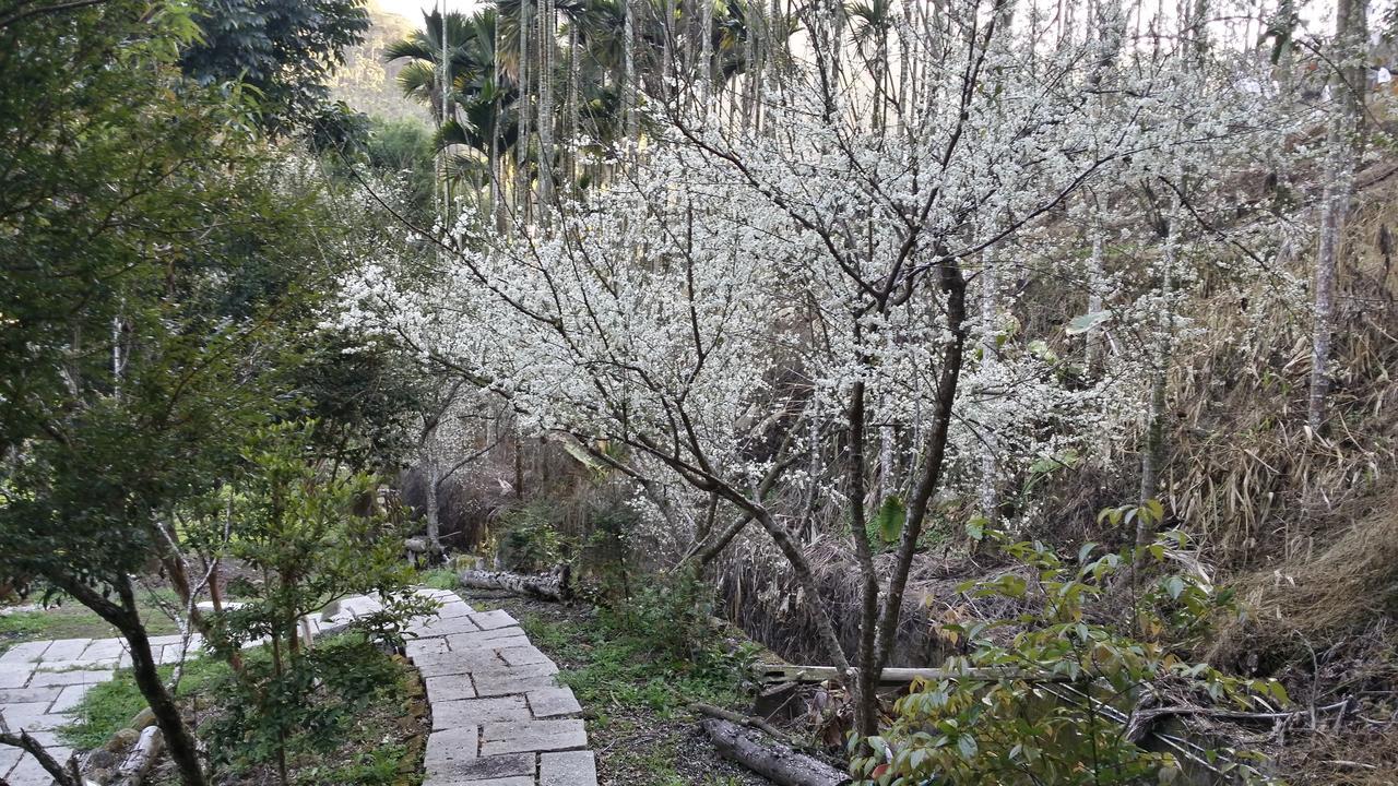 Bright Moon Homestay Dongshi  Exteriör bild